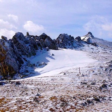 Naturaleza Y Aire Puro En El Pirineo Oriental En Una Bonita Casa Rural De Piedra 프랏드몰로라프레스테 외부 사진
