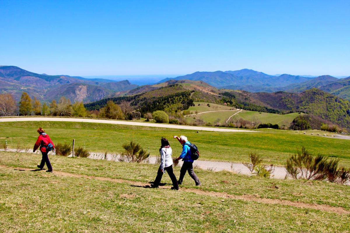 Naturaleza Y Aire Puro En El Pirineo Oriental En Una Bonita Casa Rural De Piedra 프랏드몰로라프레스테 외부 사진