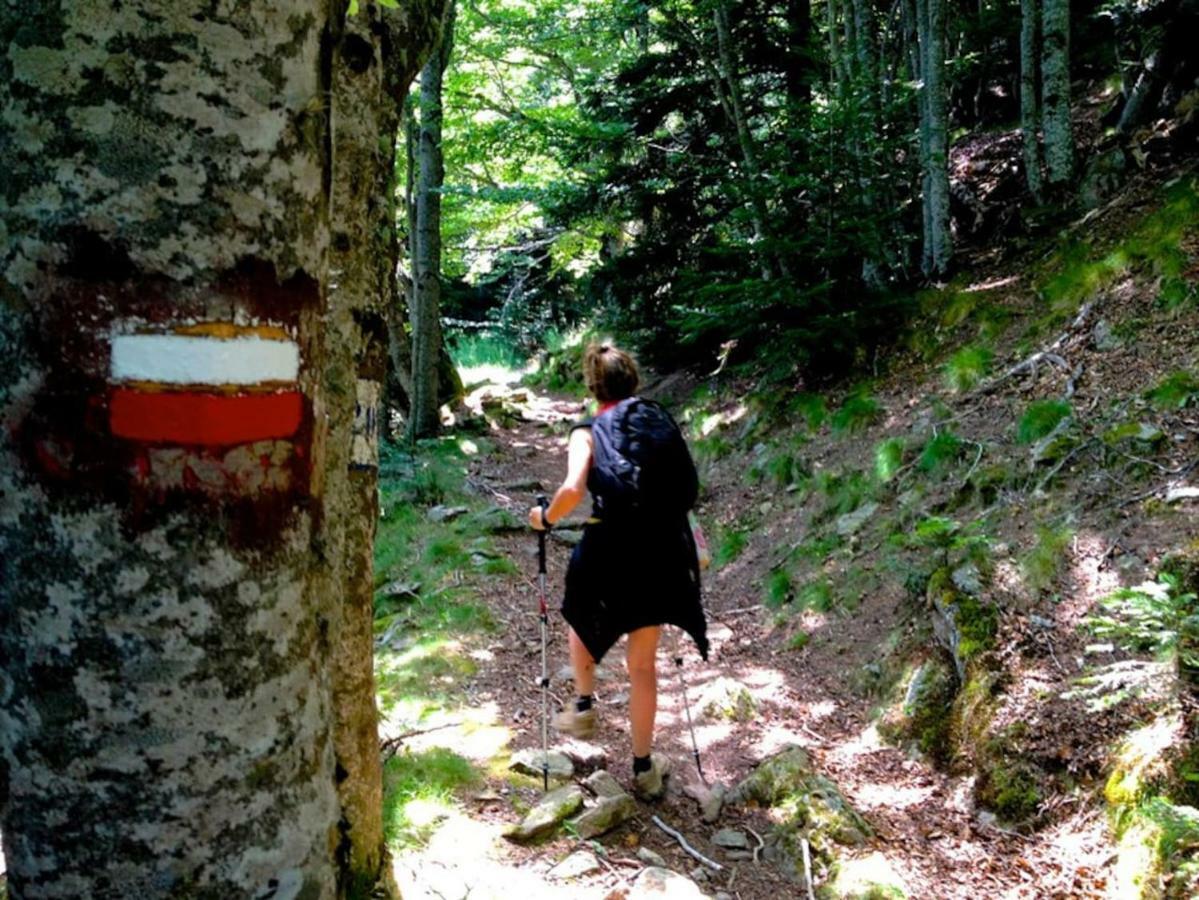 Naturaleza Y Aire Puro En El Pirineo Oriental En Una Bonita Casa Rural De Piedra 프랏드몰로라프레스테 외부 사진