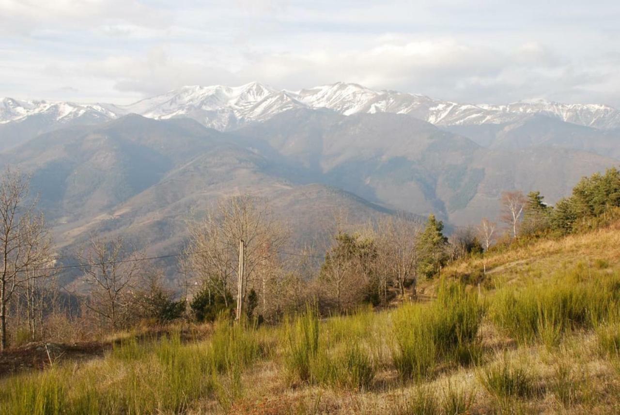 Naturaleza Y Aire Puro En El Pirineo Oriental En Una Bonita Casa Rural De Piedra 프랏드몰로라프레스테 외부 사진